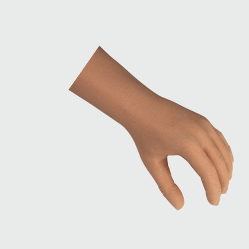 手部整形假体 - TSG-/- - College Park - 成人