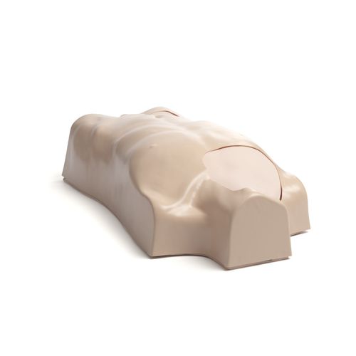 培训模拟器 - Laerdal IV - Laerdal Medical/挪度全球健康 - 用于静脉注射 / 穿刺 / 一般护理