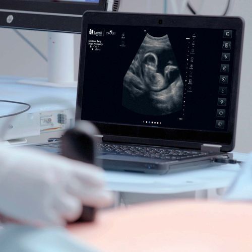 培训模拟器 - SonoSim® - Laerdal Medical/挪度全球健康 - 超声波成像 / 解剖学 / 工作站