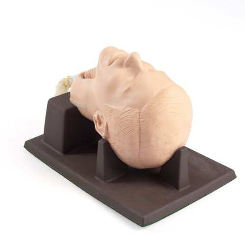 培训模拟器 - 261-01001 - Laerdal Medical/挪度全球健康 - 环甲膜切开术 / 手术 / 男性