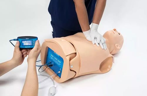 听诊法模拟器 - HAL® S315.300 - Gaumard - 用于呼吸道处理 / 气道管理 / 心肺复苏CPR