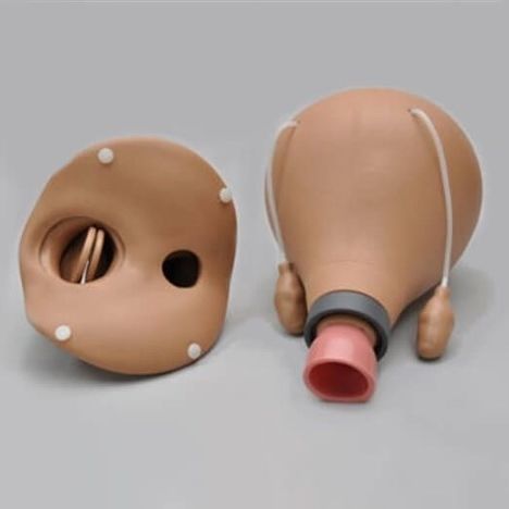 分娩模拟器 - S504.3 - Gaumard - 宫内节育器放置 / 女性