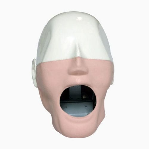 口腔护理医学教学模型 - MQDMS - Columbia Dentoform® - 头部