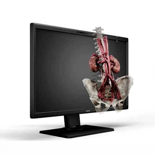 医用显示器 - Eonis 3D - Barco - 手术 / 8" / LED