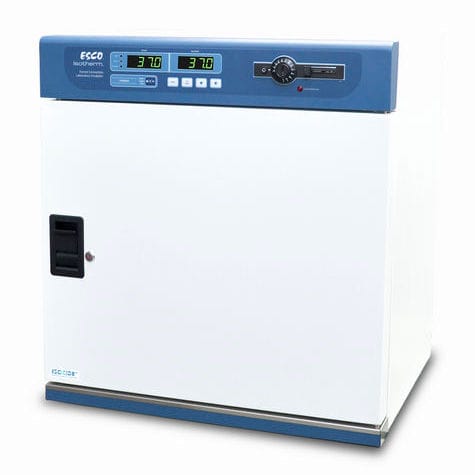 强制对流式实验室培养箱 - Isotherm® - ESCO - 台式 / 不锈钢 / 单门