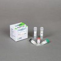 逆转录酶试剂套装 - Rocketscript™ - Bioneer Corporation - RT-PCR / 用于实时PCR