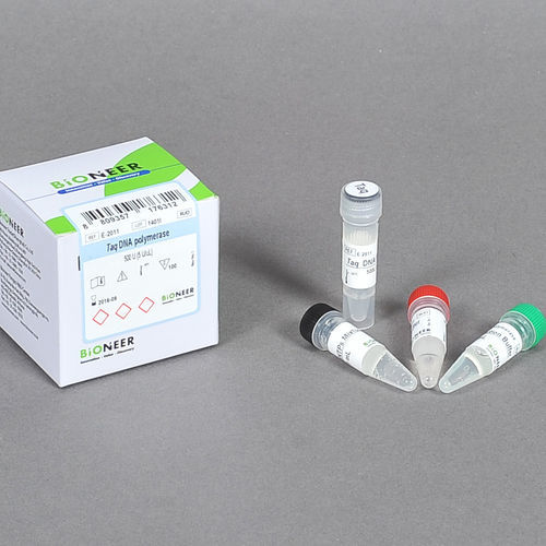 DNA聚合酶试剂套装 - E-20 Series - Bioneer Corporation - Taq-DNA聚合酶 / 稀释缓冲液 / 用于分子生物