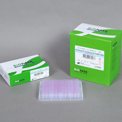 溶液试剂套装 - AccuPower® CycleScript™ - Bioneer Corporation - PCR / RT-PCR / 用于实时PCR
