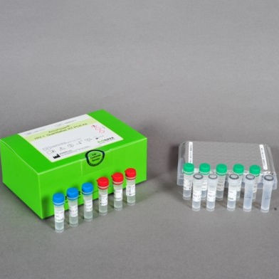 丙型肝炎快速诊断套装 - AccuPower® - Bioneer Corporation - 传染病 / VHC / 临床