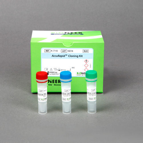 酶试剂套装 - AccuRapid™  - Bioneer Corporation - 用于研究 / PCR