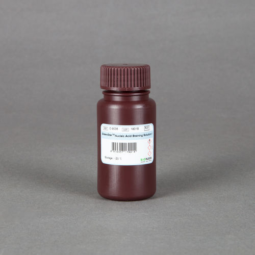 染色液试剂 - GreenStar™ - Bioneer Corporation - 染色 / 核酸 / 用于研究