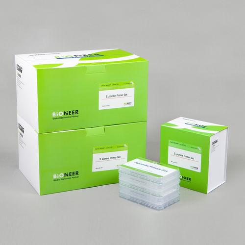 溶液试剂套装 - AccuOligo® - Bioneer Corporation - 突变检测