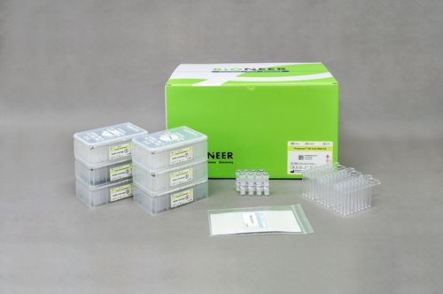 临床快速诊断套装 - Protonion™ 96 - Bioneer Corporation - 鼻咽 / 唾液 / 痰