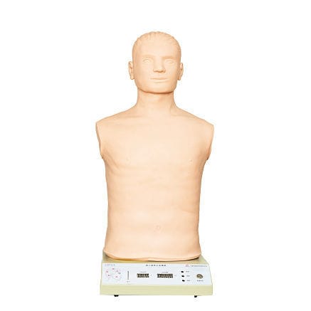 一般护理医学教学模型 - GD/J18 - Shanghai Honglian Medical Instrument - 上肢 / 股骨动脉