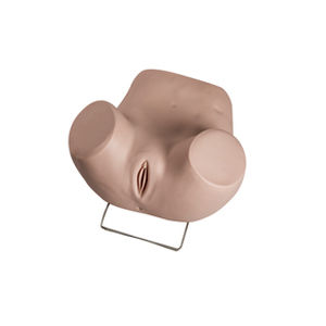 子宫镜检查模拟器 - GD/F35 - Shanghai Honglian Medical Instrument - 用于妇科护理 / 女性 / 下肢