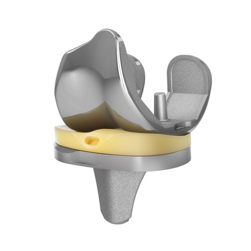 三间隔膝关节假体 - EMPOWR 3D® - Enovis Surgical - 固定轴承 / 骨水泥固定