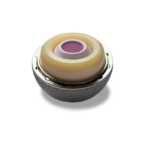 非骨水泥髋臼假体 - EMPOWR DUAL MOBILITY™ - Enovis Surgical