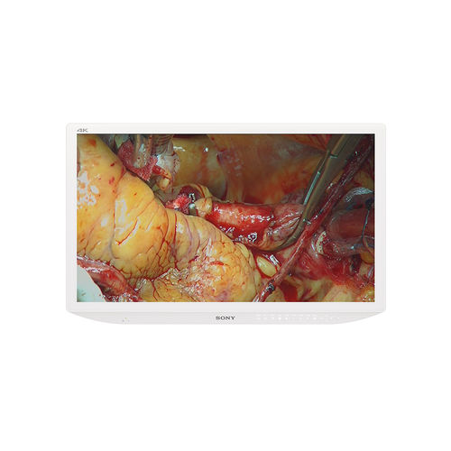 4K分辨率显示器 - LMD-X3200MD - Sony - 医用 / 手术 / 31.5"