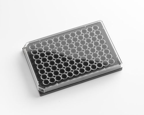 组织培养微孔板 - 205512 - Porvair Sciences Ltd - 实验室 / 细胞成像 / ELISA
