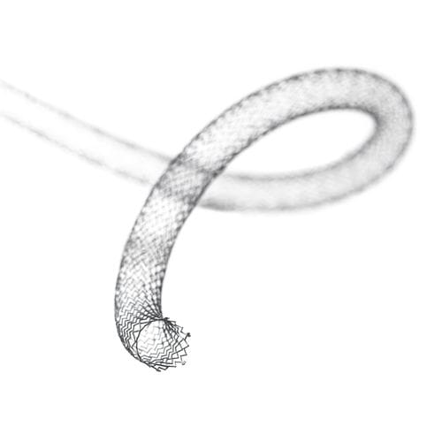 周围神经支架 -  LIFESTENT® SOLO™ - Bard Medical