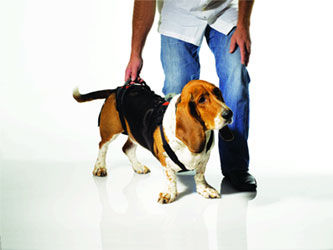 康复训练吊具 - Help'EmUp  - OrthoPets Europe - 兽用