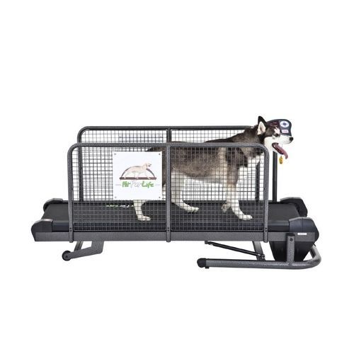 犬用兽用跑步机 - Medium - Fit Fur Life Ltd