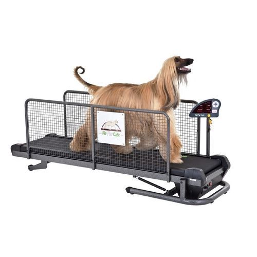 犬用兽用跑步机 - Fit Fur Life Ltd - 倾斜 / 软启动式 / 变速式