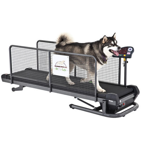 犬用兽用跑步机 - Superior - Fit Fur Life Ltd