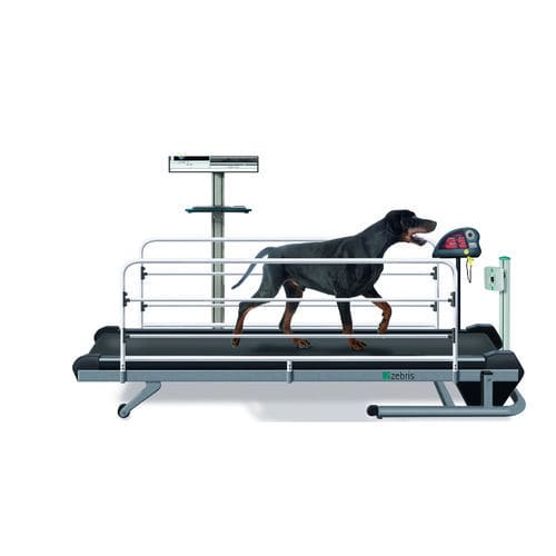 犬用兽用跑步机 - CanidGait Fit Fur Life  - Fit Fur Life Ltd - 变速式 / 带可调节侧轨