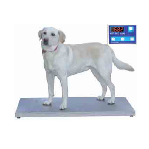 电动兽用秤 - 404ES - Petlift - 大型动物 / 平台 / 带独立指示器