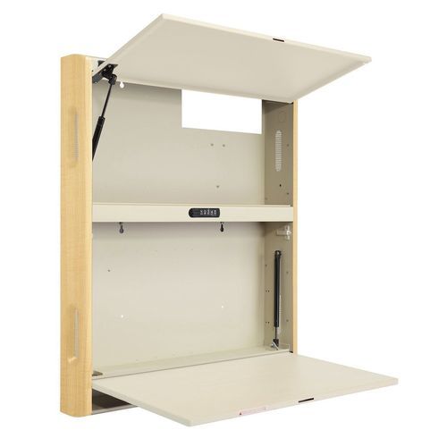 医用电脑工作站 - WALLAroo® 6690 - Carstens - 壁挂 / 嵌入式