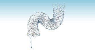 十二指肠内支架 - HANAROSTENT® Dual Layer (NNN) - M.I Tech - 镍钛合金