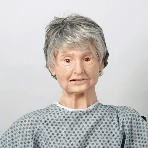 听诊法模拟器 - TERi  - Nasco - 尿道插管术 / 注射 / 前列腺触诊