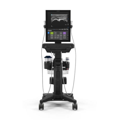 超声工作站 - ST - Sonosite/索诺声 - 用于多功能超声检查 / 黑白 / 触摸屏