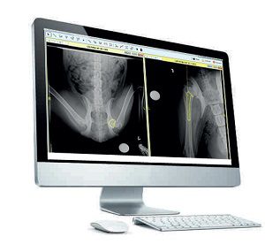 医学规划软件 - OrthoView VET - Scil Animal Care - 兽用