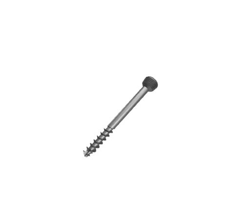 小骨碎片加压接骨螺钉 - A33813520 - Aysam Orthopaedics - 金属 / 锁定 / 用于海绵体