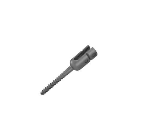 单轴椎弓根螺钉 - A816 series - Aysam Orthopaedics - 钛