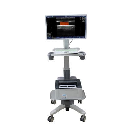 超声工作站 - C100T - Sonostar Technologies - 用于多功能超声检查 / 彩色多普勒 / 21英寸