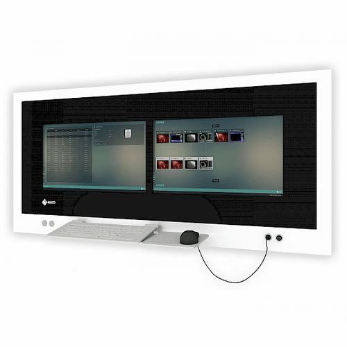 手术室显示器 - CuratOR SP2-24-24 - EIZO GmbH - 手术室 / 手术 / 全高清Full HD