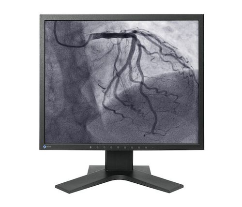 诊断显示器 - LS1910 - EIZO GmbH - 血管造影术 / 心血管 / 手术室