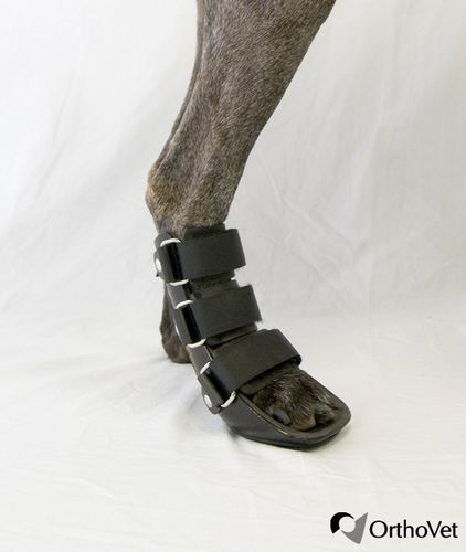 兽用腿部夹板 - Bootie - OrthoVet - 用于犬类