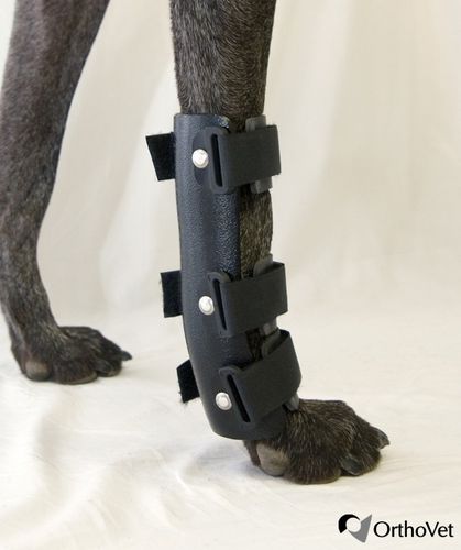 兽用腕管夹板 - OrthoVet - 用于犬类