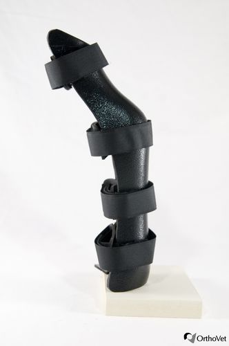 跗关节保护兽用关节保护带 - OrthoVet