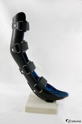 兽用腿部夹板 - OrthoVet - 用于犬类