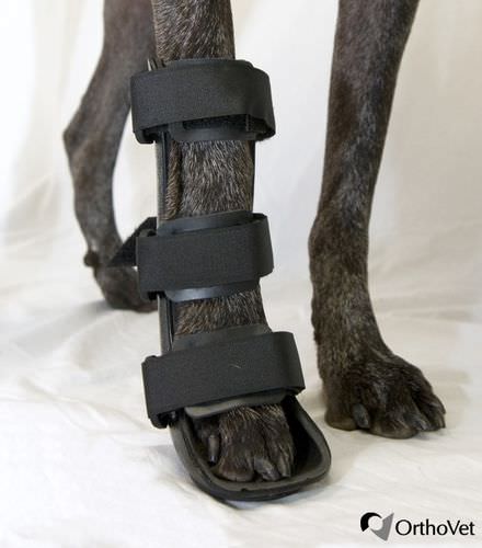 兽用腿部夹板 - Front - OrthoVet - 用于犬类