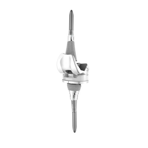 三间隔膝关节假体 - LPS™ - Depuy Synthes/德普 - 修复 / 活动轴承