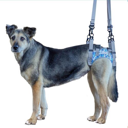 辅助行走吊具 - Walkin’ Warrior Rear - Walkin' Pets - 小腿 / 犬用
