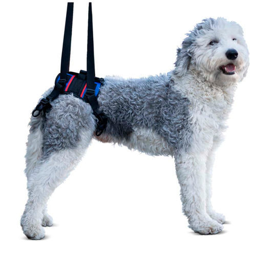 辅助行走吊具 - Walkin’ Lift Combo - Walkin' Pets - 小腿 / 犬用