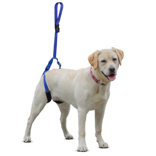 辅助行走吊具 - Walkin’ Up-n-Go - Walkin' Pets - 小腿 / 犬用