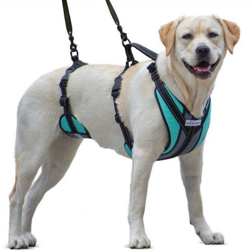 辅助行走吊具 - Walkin’ Lift-n-Step - Walkin' Pets - 犬用